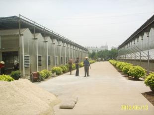 福州陽光板溫室|廈門黑土農業科技_農副產品_世界工廠網